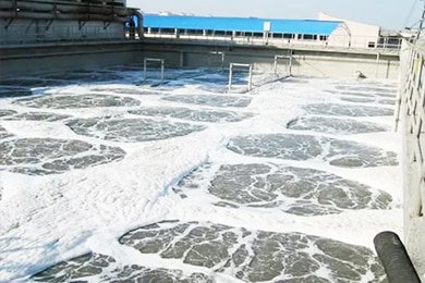 Effect of Over Aeration of Activated Sludge