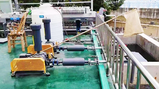 Roots blower provides high pressure air for aquaculture wastewater aeration tank