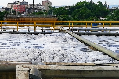 Microbes & Bacteria in Wastewater Treatment