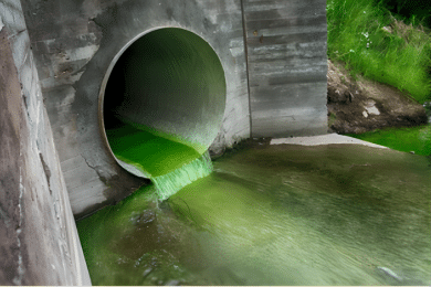 Bright green polluted effluent flowing through a drainage pipe