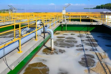 Activated sludge microbiological processes in aeration tanks of wastewater treatment plants